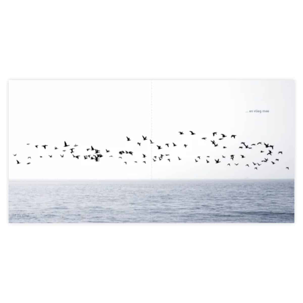 Essencio_stiltekaart_kaart_stilte_vliegen_binnenzijde Essencio_stiltekaart_kaart_stilte_vliegen_binnenzijde