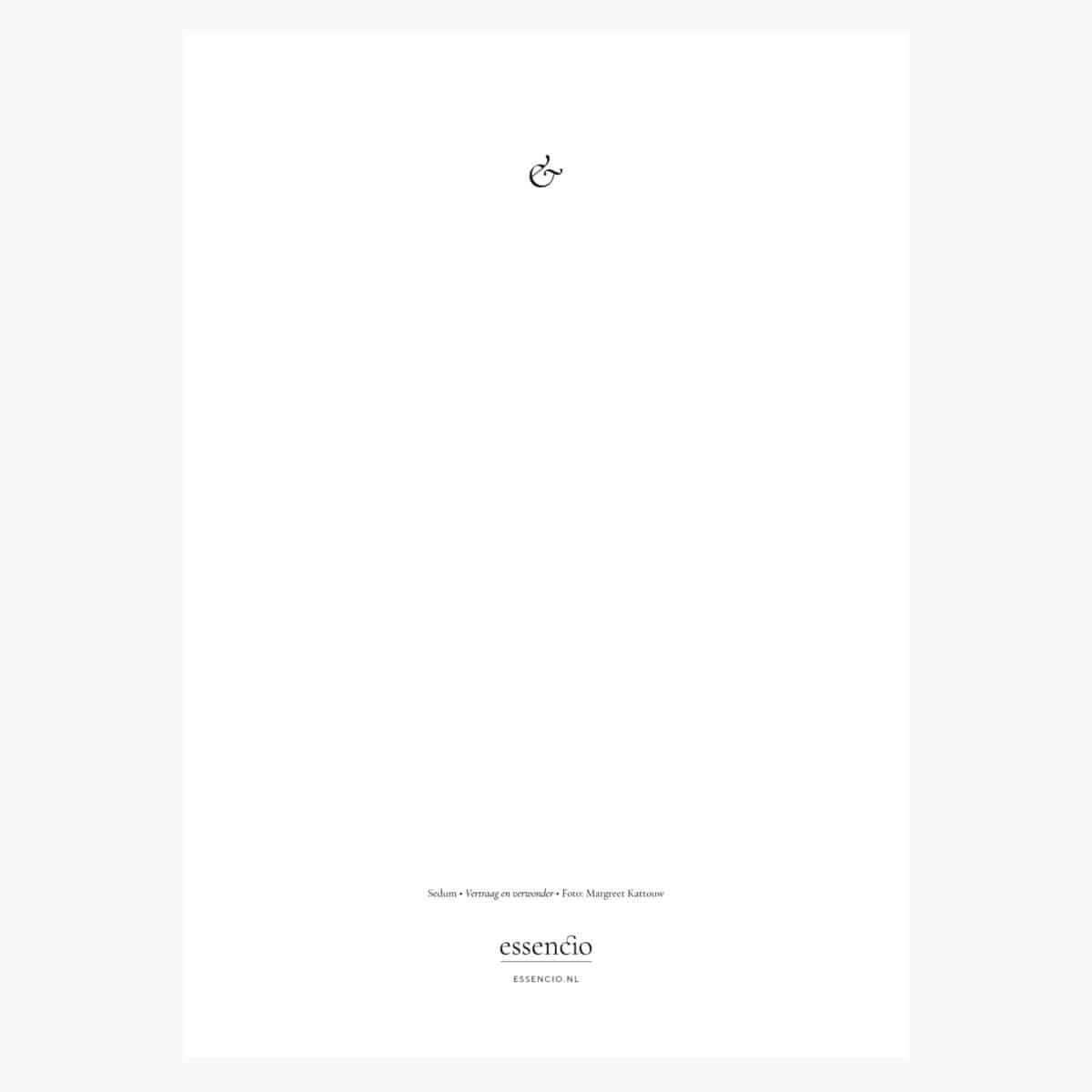 Essencio-vertraag-en-verwonder-stijlvolle-A4-poster-sedum-quote-wayne-dyer-natuur-rust-Margreet-Kattouw2 Essencio-vertraag-en-verwonder-stijlvolle-A4-poster-sedum-quote-wayne-dyer-natuur-rust-Margreet-Kattouw2