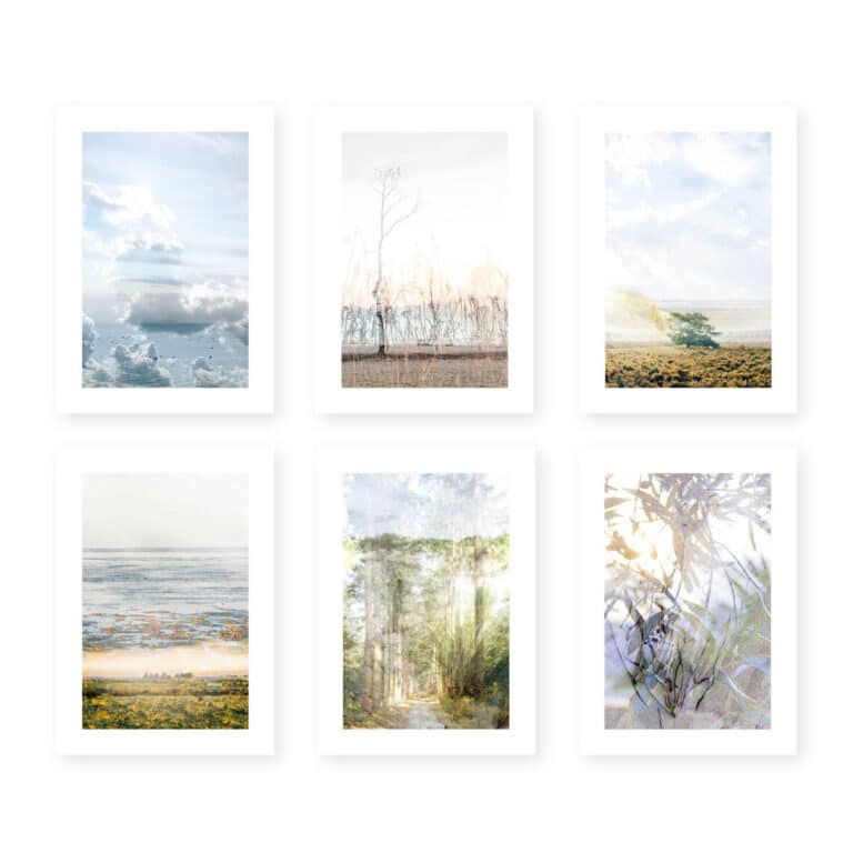 A6 Kaartenset_Nature's Poetry_overzicht def LR
