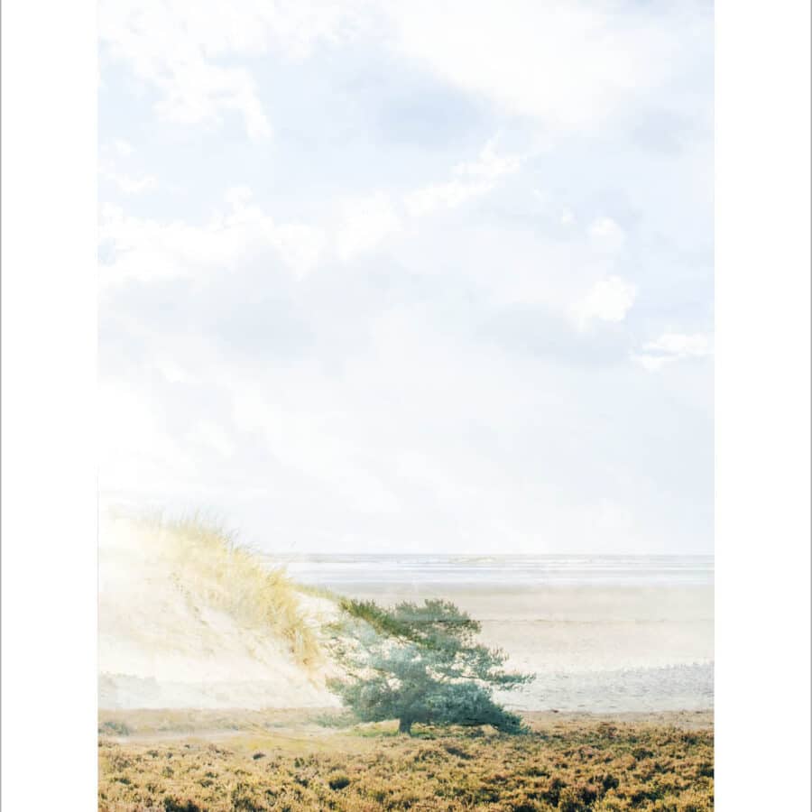 Nature's Poetry_ansichtkaarten 2027 def rand_Heatherdune